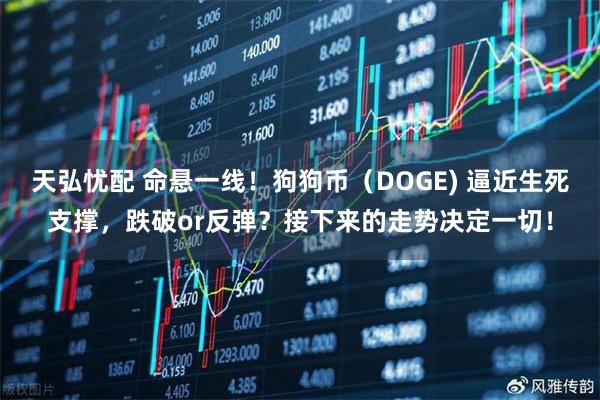 天弘忧配 命悬一线！狗狗币（DOGE) 逼近生死支撑，跌破or反弹？接下来的走势决定一切！