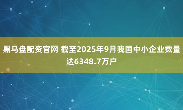 黑马盘配资官网 截至2025年9月我国中小企业数量达6348.7万户
