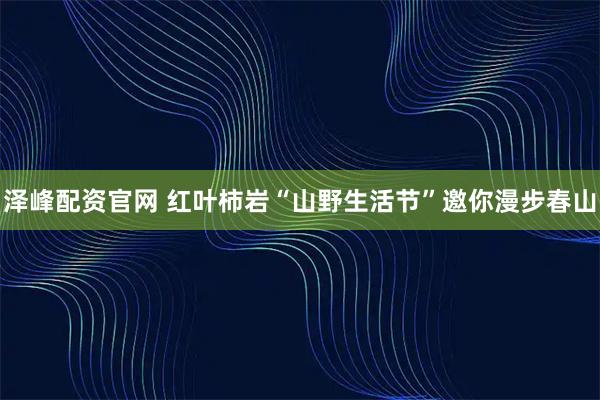 泽峰配资官网 红叶柿岩“山野生活节”邀你漫步春山